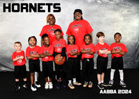 HORNETS