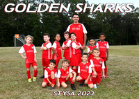 7-8u COED Team 2 Golden Sharks