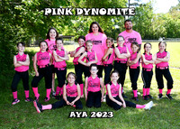 5X7 PINK DYNOMITE TEAM