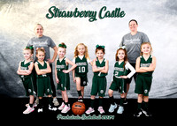 5x7 strawberry castle team