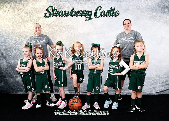 5x7 strawberry castle team