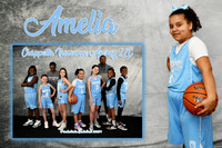 AMELIA EDWARDS MEMORY MATE