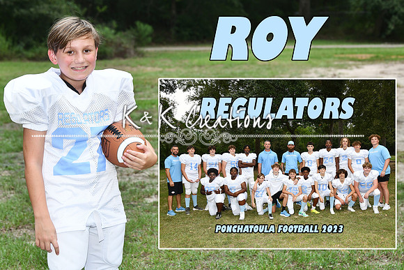 ROY LIUZZA JR MEMORY MATE