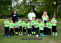 5X7 BILL HOOD FORD TEAM