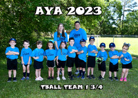 5X7 TBALL TEAM 1 SHELBY