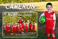 CAMERON VIAL MM