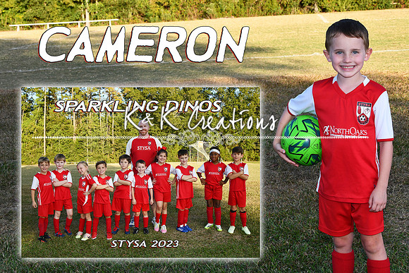 CAMERON VIAL MM