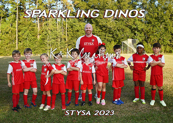 5X7 SPARKLING DINOS TEAM DEMOUY