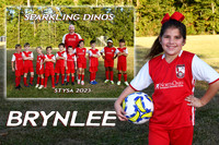 BRYNLEE RUIZ MM