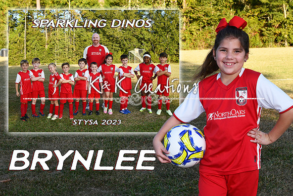 BRYNLEE RUIZ MM