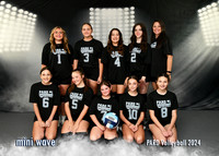 10-12 MINI WAVE