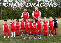 5x7 grass dragons team