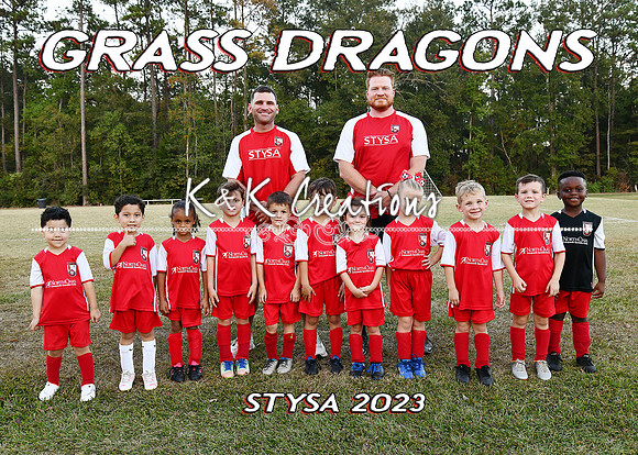 5x7 grass dragons team