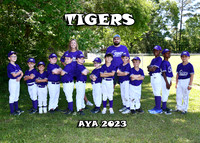 5X7 TIGERS PURPLE TEAM