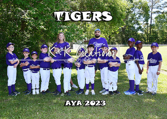 5X7 TIGERS PURPLE TEAM