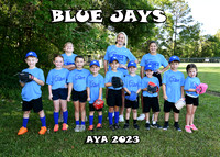 Blue Jays - Jonathan Griffin Tball team 1 5/6