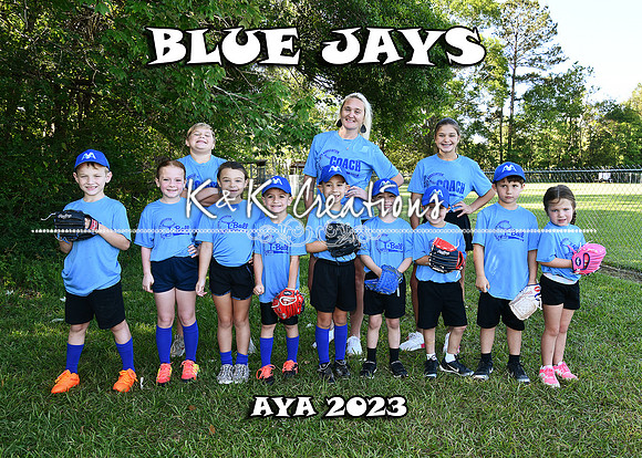 5X7 BLUE JAYS TEAM
