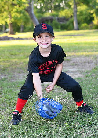 REMINGTON DAMIENS_2012
