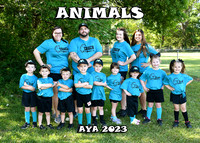 5X7 ANIMALSTEAM