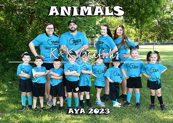 5X7 ANIMALSTEAM