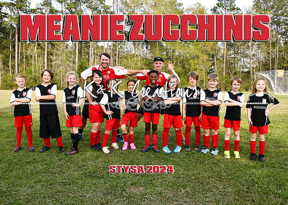 5X7 STYSA MEANIE ZUCCHINIS TEAM