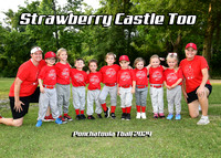 TBall Strawberry Castle Too