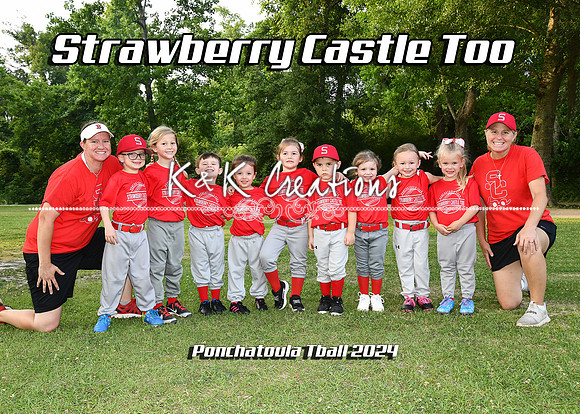 5x7 sc too team tball