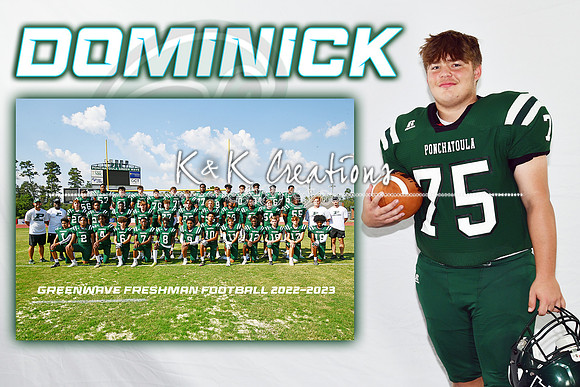 DOMINICK STOGNER MEM MATE