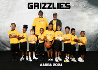 GRIZZLIES