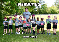 5X7 PIRATES TEAM
