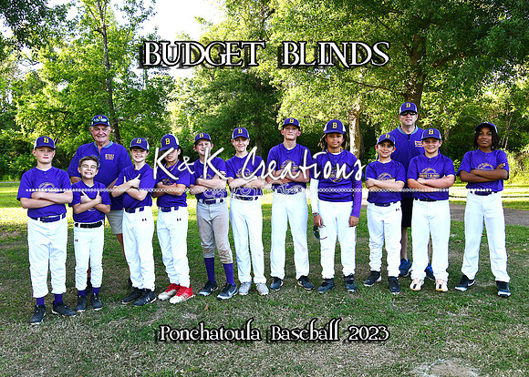 5x7 budget blinds team