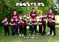 5X7 ROOSTERS TEAM