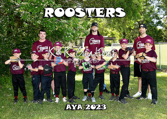 5X7 ROOSTERS TEAM