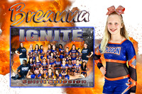 breanna bower memory mate