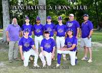 5x7 Lions Club Team