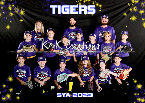 5X7 TIGERS TEAM