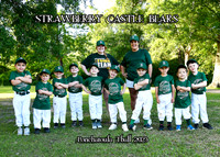 5X7 SCPBEARS TEAM