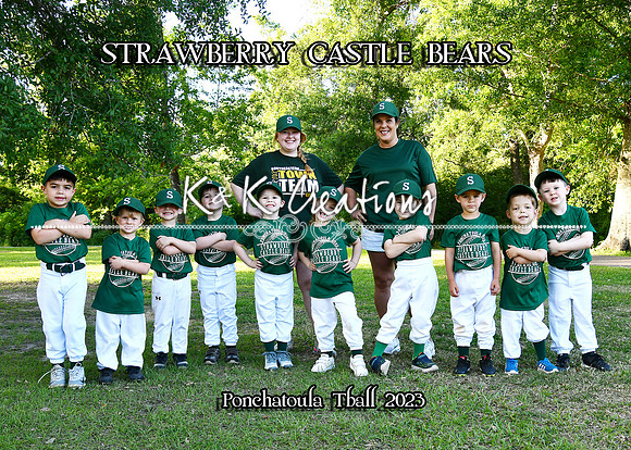 5X7 SCPBEARS TEAM