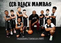 5X7 CCB BLACK MAMBAS 78 TEAM