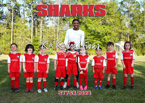 5X7 SHARKS TEAM PELTIER