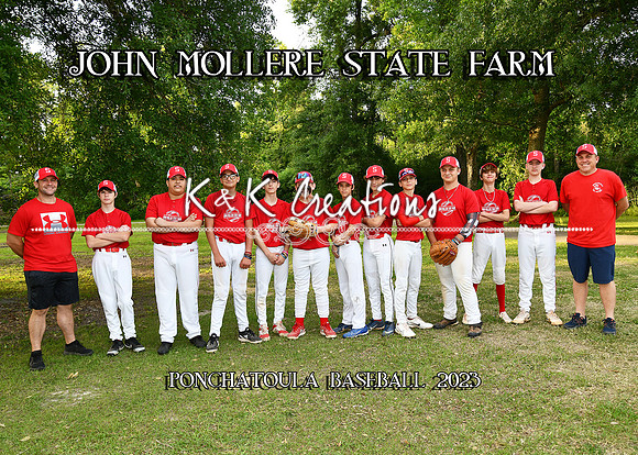 5X7 JM STATEFARM TEAM