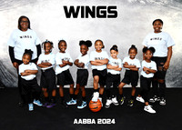 WINGS