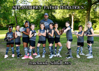 5X7 STRAWBERRY PATCH PEDS TEAM