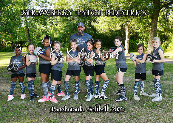 5X7 STRAWBERRY PATCH PEDS TEAM