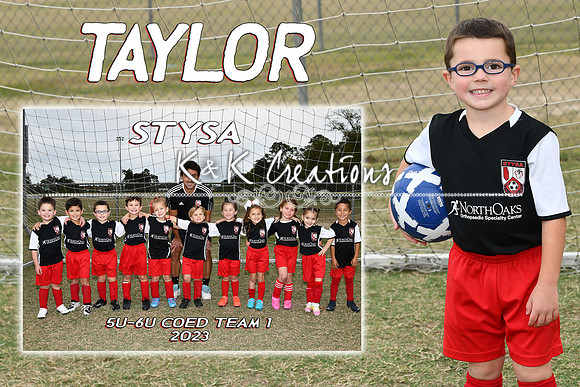 TAYLOR VIAL MEM MATE