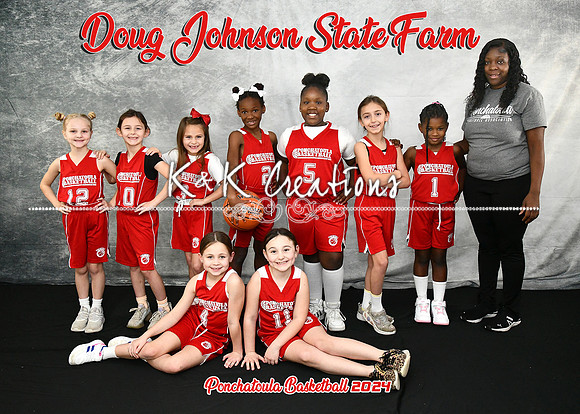 5X7 DOUG JOHNSON STATE FARM TEAM