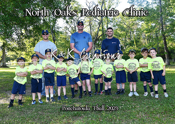 5x7 North Oaks Ped TBall team