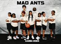 MAD ANTS