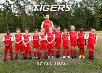 Tigers 7-8U team 1 Coach Chris