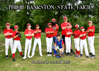 5X7 PB STATE FARM TEAM